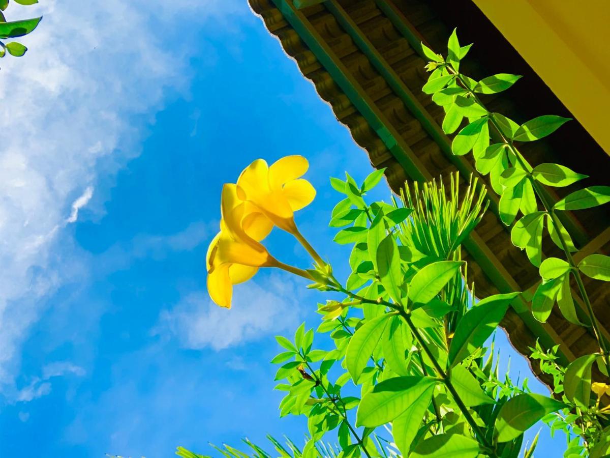 Canary Bungalow 두옹 동 외부 사진