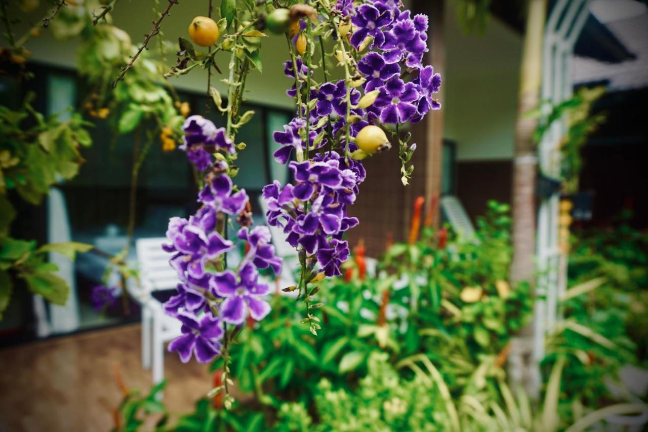 Canary Bungalow 호텔 두옹 동 외부 사진