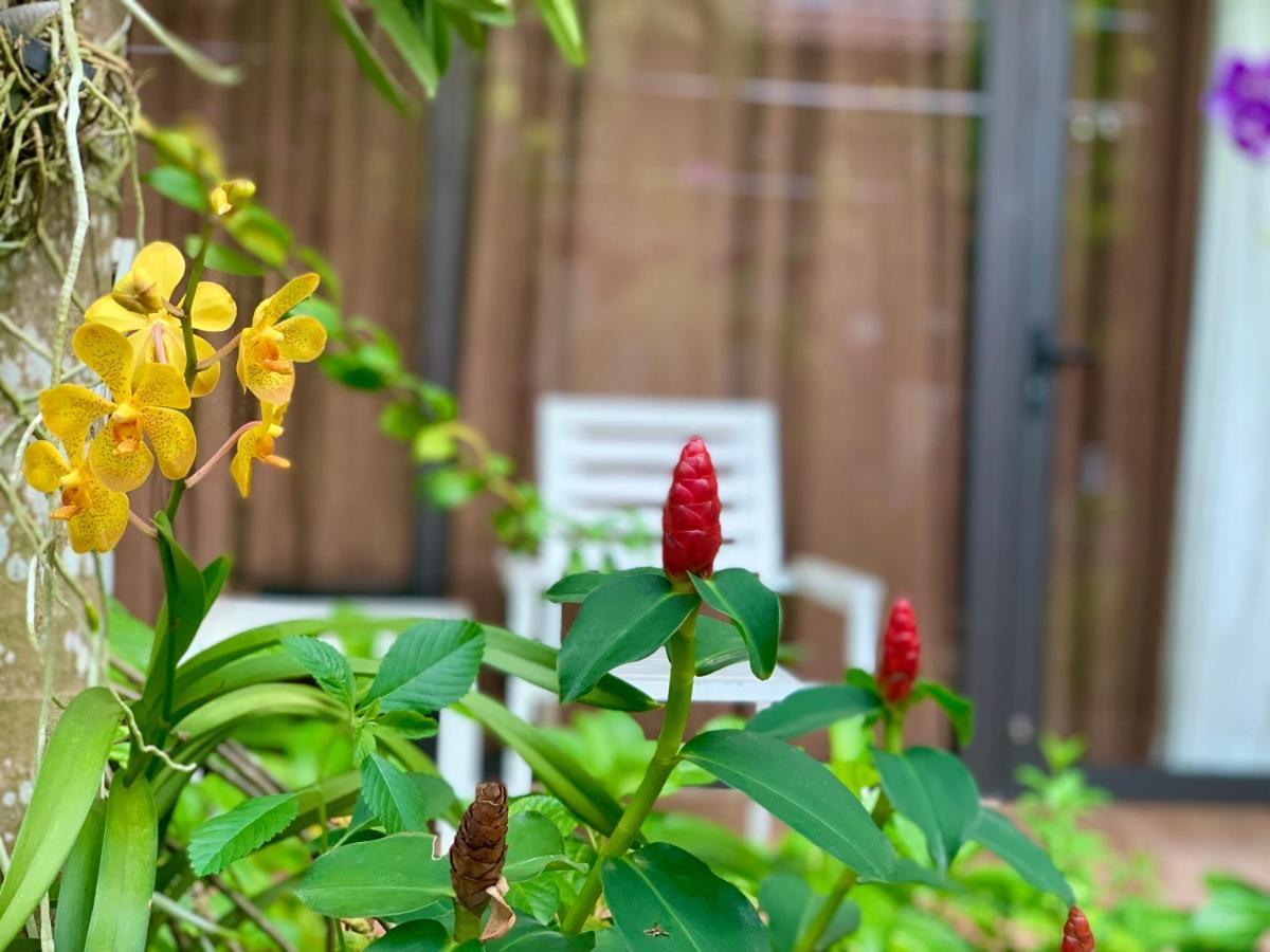 Canary Bungalow 두옹 동 외부 사진